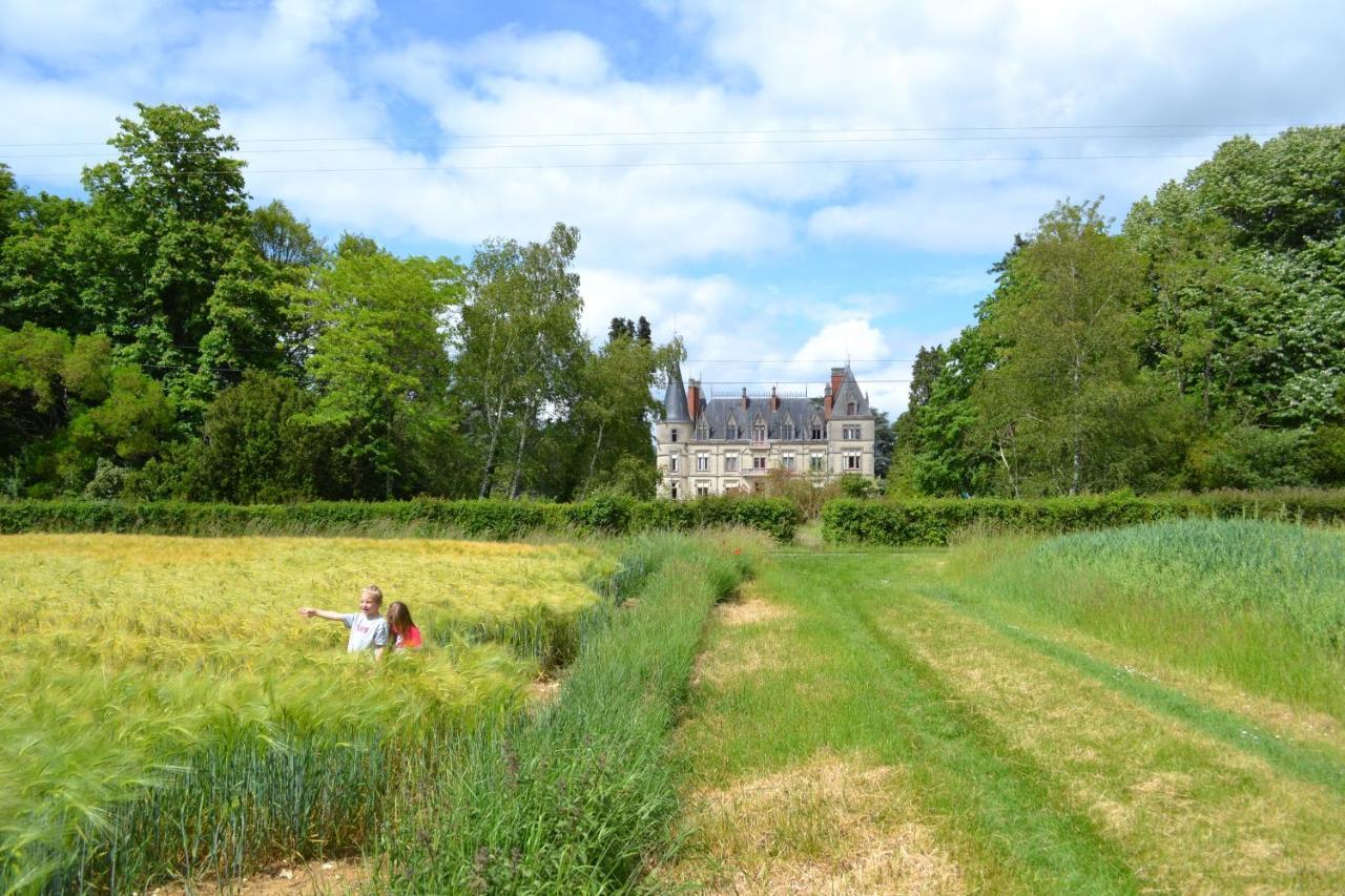 Chateau Le Boisrenault Hotell Buzançais Exteriör bild